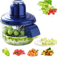 Rechargeable electric garlic peeler machine for home kitchens